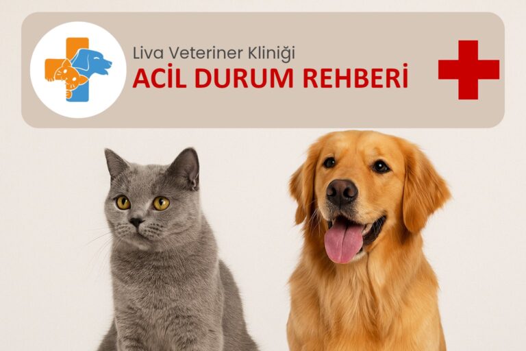 Kedi ve Köpek Acil Durum Rehberi Kapak Fotoğrafı